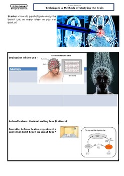 Preview of IB Psychology: Techniques and methods to study the brain workbook