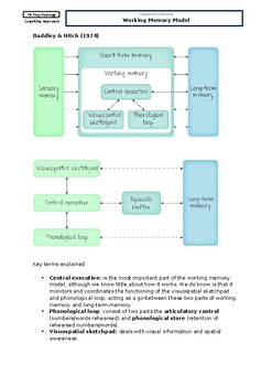 Preview of IB Psychology: Working memory model Workbook