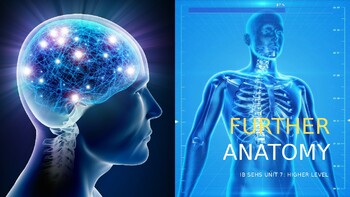 Preview of IB SEHS Higher Level (HL): Topic 7: Further Anatomy full lessons and unit ppt
