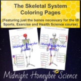 IB SEHS Skeletal System Coloring Pages
