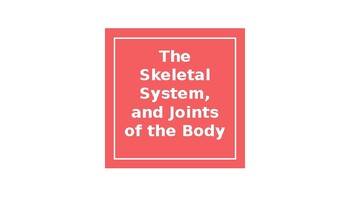 IB SEHS Topic 1.1: Skeletal System Anatomy - Human Skeleton | TpT