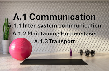 Preview of IB Sports, Exercise, Health Science A.1 Communication (2024 curriculum)