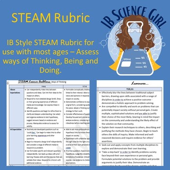 Preview of IB Style STEAM Rubric