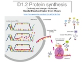 IBDP Biology D1.2 Protein synthesis kit - guide and workbook.