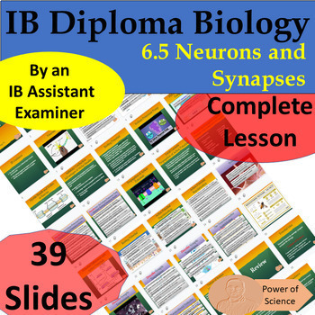 Preview of IBDP Biology Topic 6.5 Neurons and Synapses - 46 Slides - by Assistant Examiner