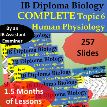 Preview of IBDP Biology Topic 6: Human Physiology - COMPLETE Unit BUNDLE