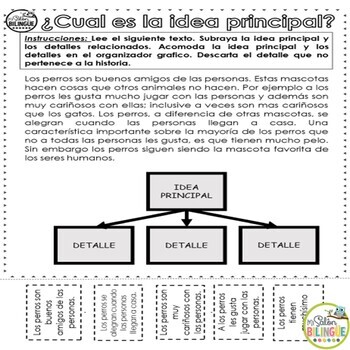 Idea Principal y Detalles Main Idea and Details {in Spanish} TpT