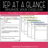 IEP At A Glance - IEP Snapshot - Fillable PDF