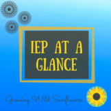 IEP At A Glance for DHH Students