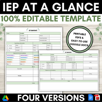 Preview of IEP At a Glance | Snapshot | Editable, Fillable, Printable | Google Docs | Sped