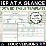 IEP At a Glance | Snapshot | Editable, Fillable, Printable