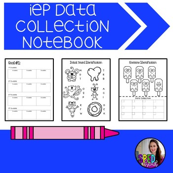 Preview of IEP Data Collection Notebook 