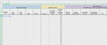 Preview of IEP Master Spreadsheet