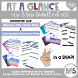 IEP and BIP at a Glance | Snapshot and Flipbook Bundle