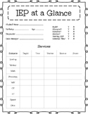IEP/504/RTI at a Glance