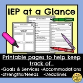 IEP at a Glance Print and Fill for Special Education IEP S