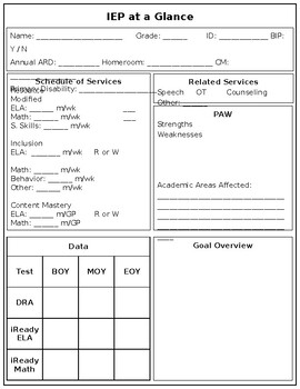 Preview of IEP at a Glance - EDITABLE