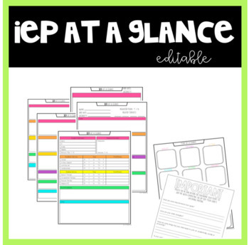 Preview of IEP at a Glance Editable