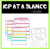 IEP at a Glance Editable