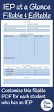 IEP at a Glance Fillable & Editable