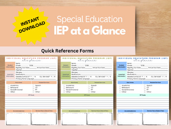 Preview of IEP at a Glance Form