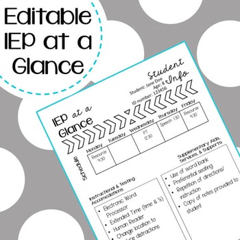 Preview of IEP at a Glance Freebie - Editable