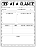 IEP at a Glance Template