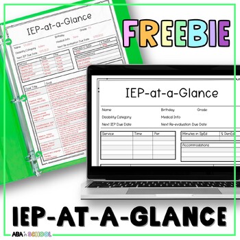 Preview of IEP at a glance EDITABLE IEP snapshot editable for Goals and Objectives tracking