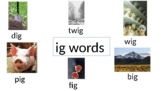 IG word family-cvc flashcards