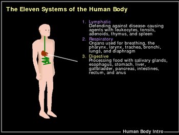 Preview of ILLUSTRATED Intro to Anatomy & Physiology!