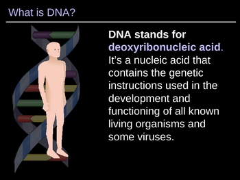 Preview of ILLUSTRATED Look at DNA!