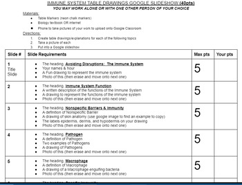 Preview of IMMUNE SYSTEM TABLE DRAWINGS PROJECT