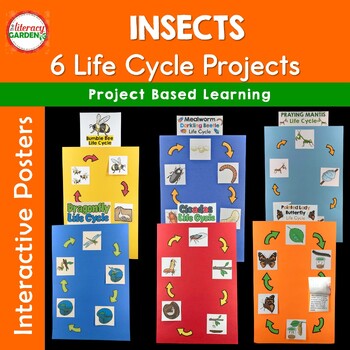 Preview of Life Cycle of Insects BUNDLE Science Unit 2nd - 4th Grade TEKS