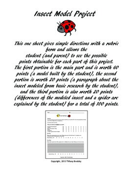 Preview of INSECT MODEL PROJECT Building Model, Simple Research & Writing, Contrast Rubric