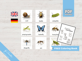 Preview of INSECTS • 18 Montessori Cards • Flash Cards German English • Nomenclature PDF