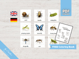INSECTS • 18 Montessori Cards • Flash Cards German English