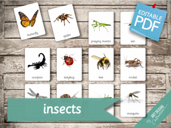 Preview of INSECTS • 22 Editable Montessori 3-part Cards • Flash Cards Home schooling