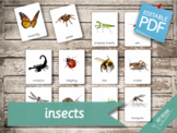 INSECTS • 22 Editable Montessori 3-part Cards • Flash Card