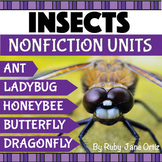Bugs and Insects Activities Bundle