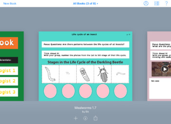 Preview of INSECTS - Digital Science Lesson 7