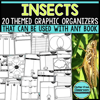 Preview of INSECT READING COMPREHENSION Activities ANY BOOK Graphic Organizers Worksheets