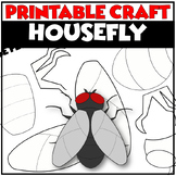 INSECTS | HOUSEFLY Printable Craft Project | FLY
