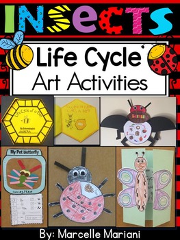 Preview of INSECTS LIFE CYCLE ART ACTIVITIES: Butterfly, Bee, Ladybug, Beetle