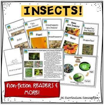 INSECTS! Non-fiction Beginning Readers for Guided Reading | TPT