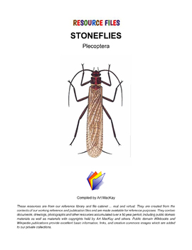 Preview of INSECTS - The Important Stoneflies of the Order Plecoptera