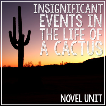 Preview of INSIGNIFICANT EVENTS IN THE LIFE OF A CACTUS Novel Unit Study | Project Activity