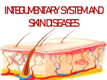 INTEGUMENTARY SYSTEM AND SKIN DISEASES by Dods' Book Barn | TPT