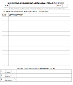 Preview of INTEGUMENTARY SYSTEM (SKIN) UNIT PACKET 