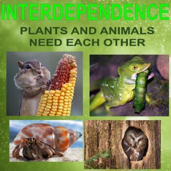 Preview of INTERDEPENDENCE - Plants and Animals Need Each Other