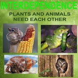 INTERDEPENDENCE - Plants and Animals Need Each Other